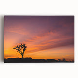 Black and white photograph of Joshua Tree on stretched canvas, ideal for kitchen wall art.