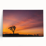 Black and white photograph of Joshua Tree on stretched canvas, ideal for kitchen wall art or bedroom ambiance.