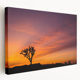 Joshua Tree landscape on large stretched canvas, featuring earthy tones, ideal for kitchen wall art.