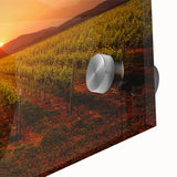 Large abstract depiction of Napa Valley in muted earth tones on acrylic glass, suitable for dining room ambiance.