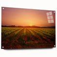 Acrylic print of Napa Valley landscape in earth tones, suitable for dining room decor.