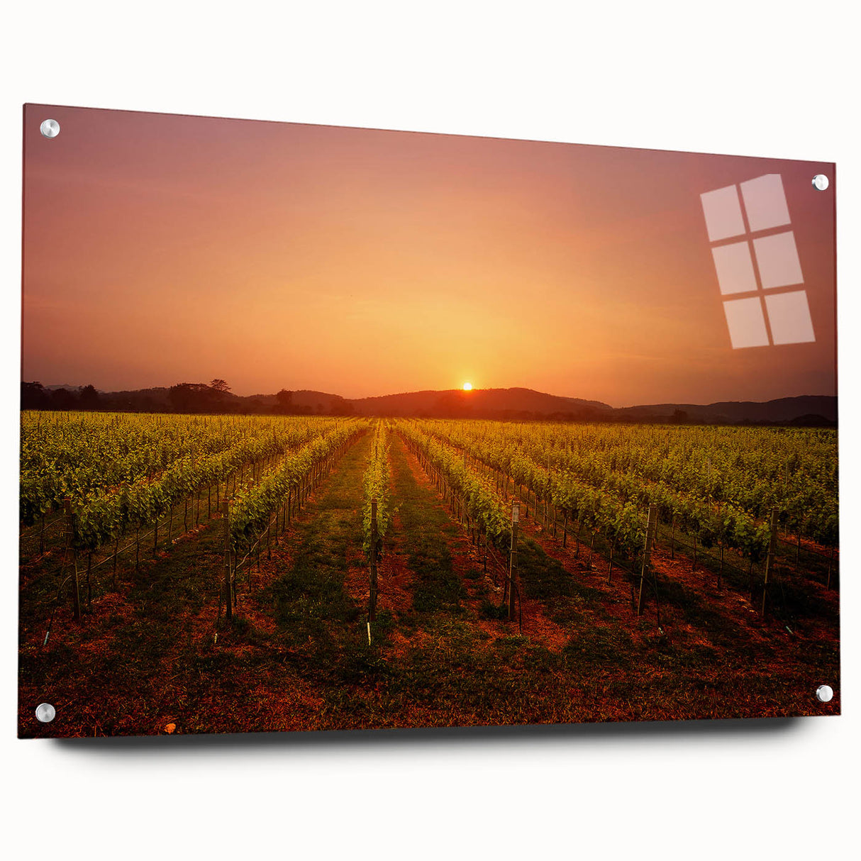 Acrylic print of Napa Valley landscape in earth tones, suitable for dining room decor.