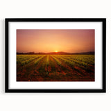Abstract art print of Napa Valley with vibrant, colorful textures on a large framed canvas, ideal for living room decor.