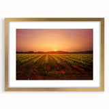 Extra large abstract art print of California's Napa Valley in textured gold frame, ideal for living room decor.