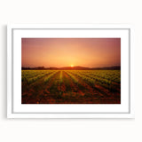 Abstract art print of Napa Valley in muted green and brown tones on a framed white canvas, suitable for dining room decor.