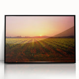 Large abstract wall art of Napa Valley in muted green and brown tones, framed in black acrylic.