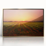 Framed acrylic print of Napa Valley landscape in earthy tones, ideal for modern art wall decor.
