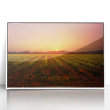 Acrylic print of Napa Valley landscape in soft pastel shades, framed in white, suitable for modern art wall decor.