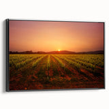 Black and white framed canvas of Napa Valley landscape, ideal for bedroom wall art.