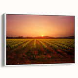 Vintage poster art of Napa Valley with vibrant colors on a framed canvas, ideal for living room decor.