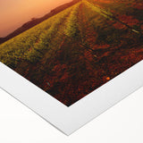 Art deco poster of Napa Valley on rolled canvas, featuring muted earth tones, ideal for dining room wall art.
