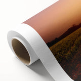 Art Deco style poster of Napa Valley landscape on rolled canvas, with soft green and yellow tones.