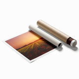 Extra large rolled print depicting the scenic Napa Valley with vibrant green and earth tones.