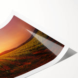 Extra large wall art featuring line art flowers with muted earth tones on a rolled print.