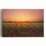 Black and white stretched canvas of Napa Valley landscape, ideal for kitchen wall art.