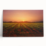 Black and white stretched canvas of Napa Valley landscape, ideal for kitchen wall art or bedroom decor.