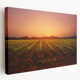 Landscape painting of California's Napa Valley on stretched canvas, featuring muted earth tones, ideal for kitchen wall art.