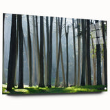 Acrylic print of San Francisco skyline in muted gray and blue tones, suitable for bedroom or dining room decor.