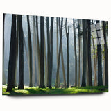 Acrylic print of San Francisco skyline in muted blue tones, ideal for bedroom or dining room art.