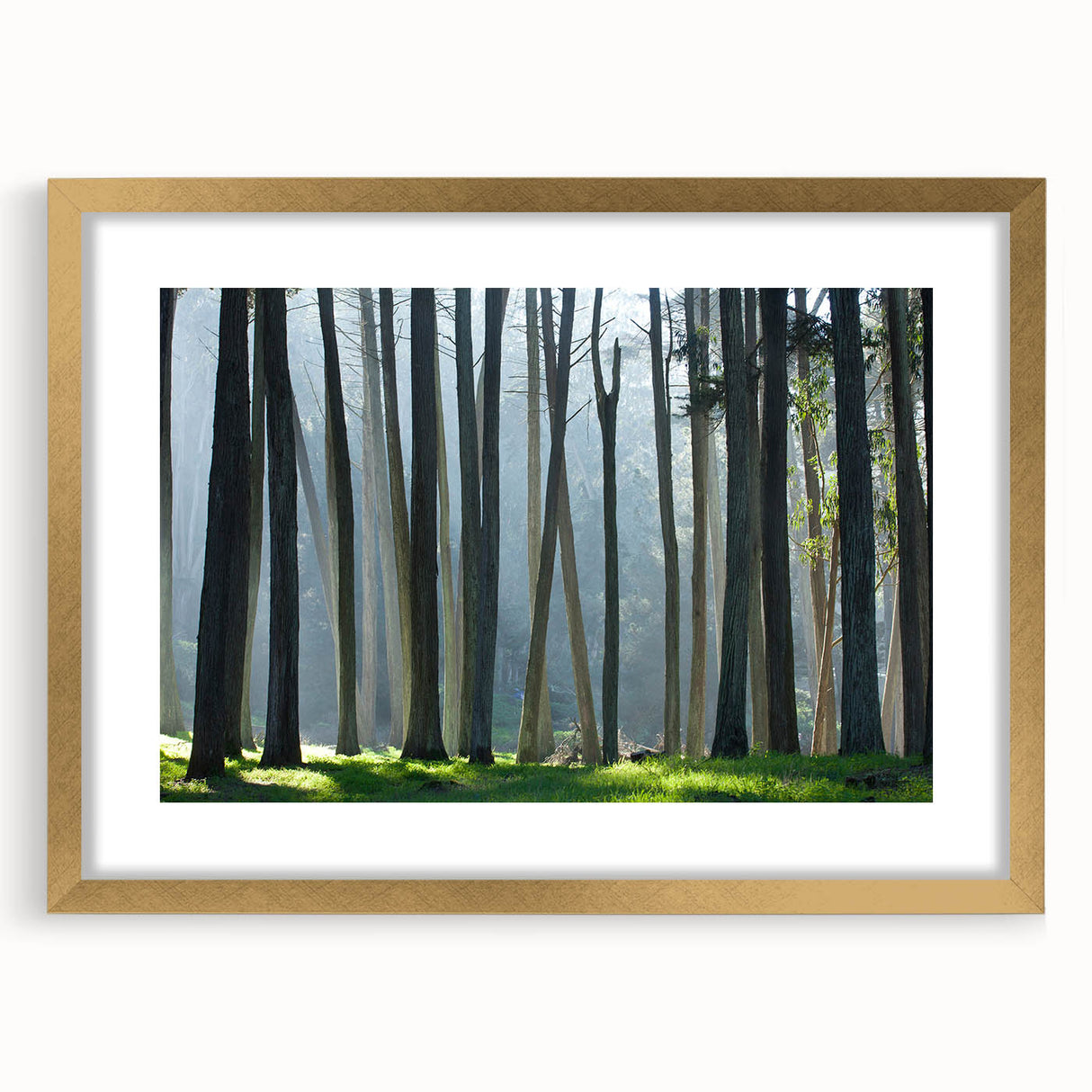 Extra large abstract art print of San Francisco skyline in gold frame, ideal for living room decor.