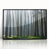 Large abstract wall art depicting San Francisco skyline in muted gray and blue tones on a framed acrylic.