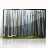 Large art print of San Francisco skyline in muted gold tones on acrylic, framed, in mid-century modernist style.