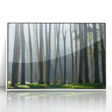 Acrylic print of San Francisco skyline in art deco style with muted colors, ideal for modern art wall decor.