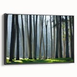 Black and white framed canvas of San Francisco landscape, ideal for bedroom wall decor.