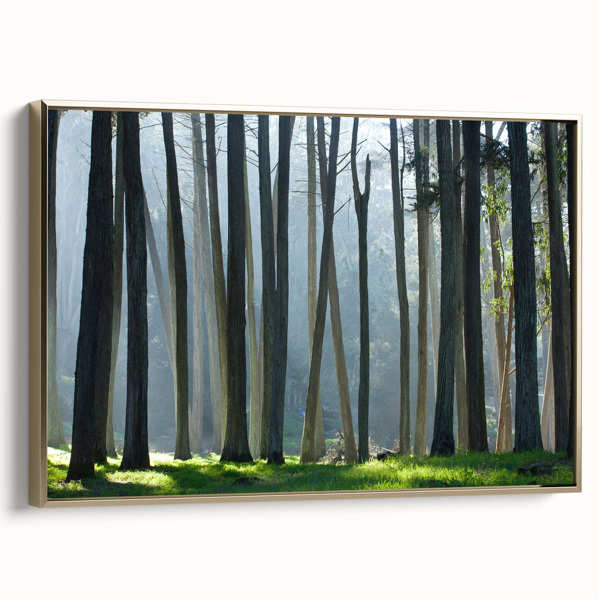 Framed canvas depicting a vintage-style San Francisco landscape in black and gold tones, ideal for bedroom wall art.