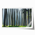 Rolled print of San Francisco scenery in soft pastel shades, suitable for art wall dining room placement.