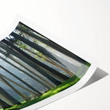 Extra large wall art featuring line art flowers in muted colors, printed on rolled canvas, ideal for large living room decor.