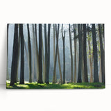 Black and white photo of the San Francisco skyline on stretched canvas, ideal for kitchen wall art.