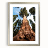 Textured art print depicting abstract California Sequoia landscape in muted earth tones, framed in silver.