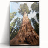 Large abstract wall art depicting California's Sequoia trees in muted earth tones on a framed acrylic.