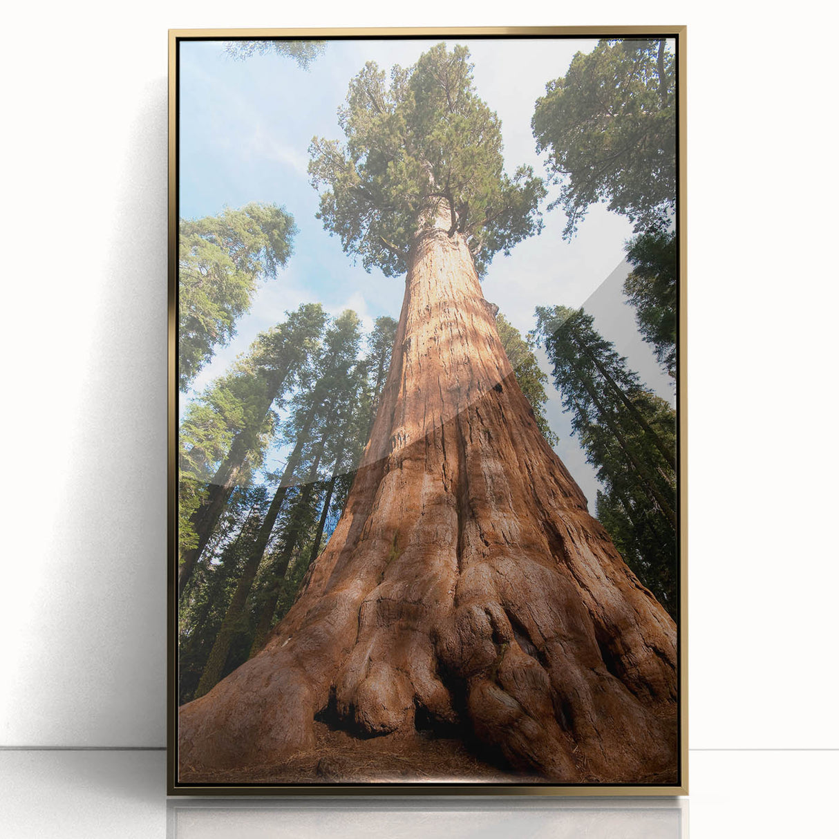 Framed acrylic print of a Sequoia tree in California, featuring earthy green and brown tones, suitable for nursery wall art.