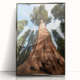 Mid-century modernist art of California’s Sequoia trees in acrylic, framed in silver, ideal for nursery wall art.