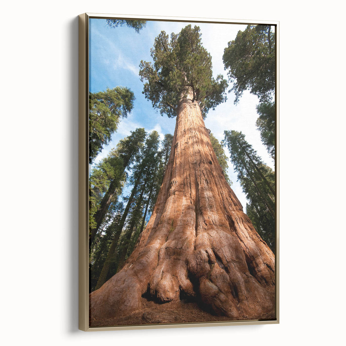 Framed canvas depicting a vintage-style landscape of California's Sequoia National Park, with muted earth tones.