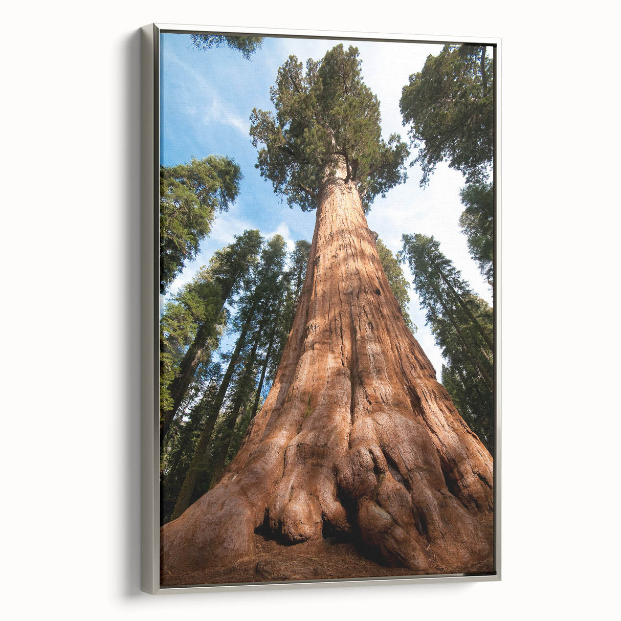 Framed canvas featuring a vintage-style landscape art painting of California's Sequoia trees in muted earth tones.