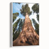 Framed canvas vintage poster art featuring a scenic view of California's Sequoia National Park, ideal for living room decor.