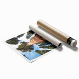 Extra large rolled print of California sequoia trees in natural colors.