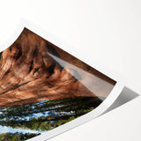 Extra large wall art featuring a line art depiction of sequoia trees in black on white rolled canvas.