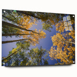 Acrylic print of a Colorado Vail landscape featuring serene blue and white tones, ideal for dining room decor.
