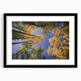 Extra large abstract art print of a colorful, textured Colorado scenery on a black framed canvas.