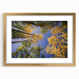 Extra large wall art featuring an abstract textured depiction of Vail, Colorado in muted earth tones, framed in gold.