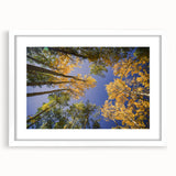 Abstract art print of Vail, Colorado, featuring muted earth tones on a framed white mat, ideal for dining room decor.