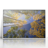 Acrylic print of Vail, Colorado scenery in muted earth tones, framed in white, ideal for modern nursery wall art.