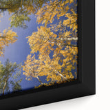 Black wall art of Vail, Colorado landscape on textured, framed canvas with colorful accents.