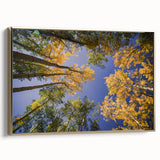 Framed canvas of Vail, Colorado landscape in muted gold and black tones, ideal for bedroom wall art.