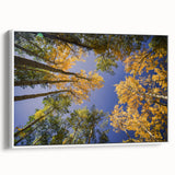 Vintage poster art of Vail, Colorado in vibrant colors on a large framed canvas, ideal for living room decor.