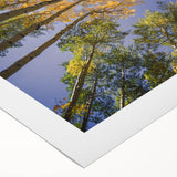 Art Deco poster featuring Vail, Colorado scenery in pastel shades on rolled canvas, suitable for dining room decor.